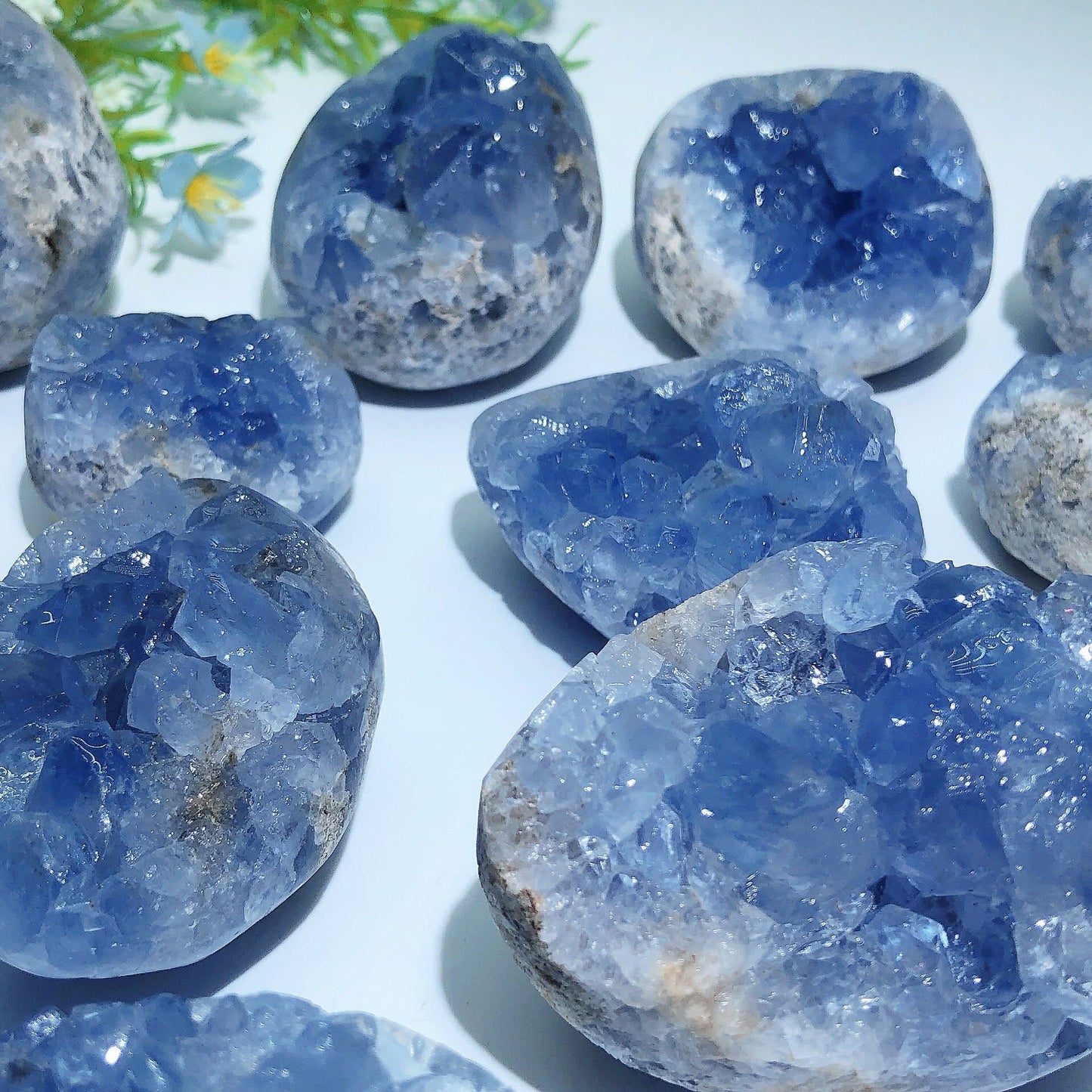 Natural Raw Celestite Geode Specimen Healing Crystal Decor