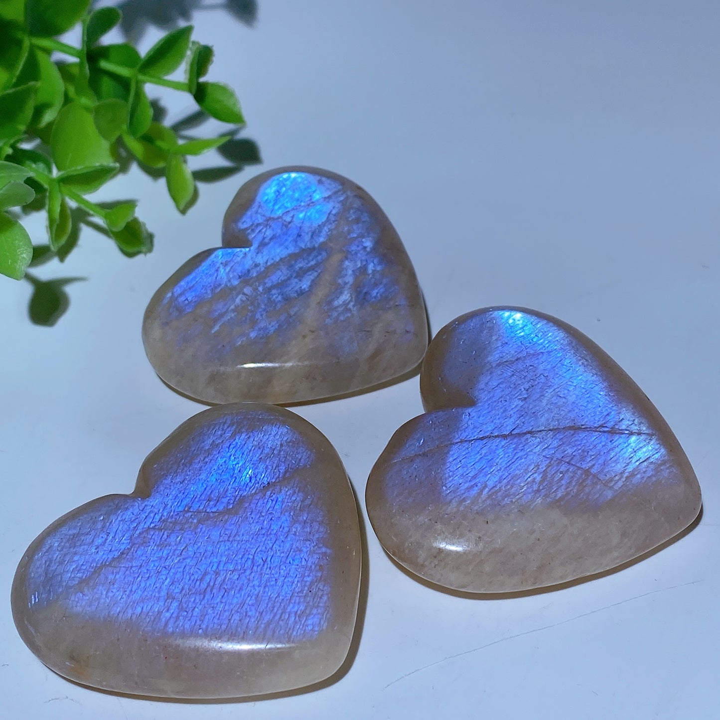 2.0"-2.2" Blue Flash Moonstone Heart Palm Carvings Bulk Wholesale