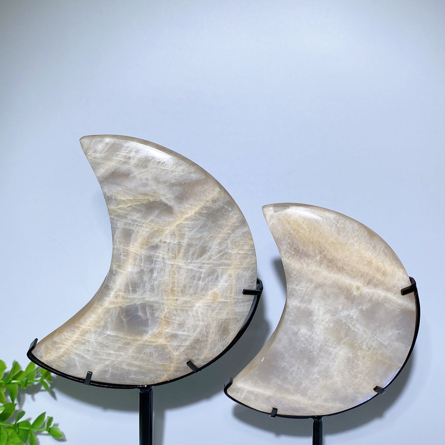 4.0"-5.5" Blue Flash Moon Carvings with Stand Bulk Wholesale