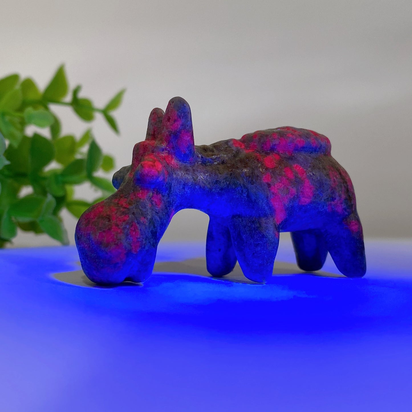 2.3" Mixed Crystal Donkey Carvings Bulk Wholesale