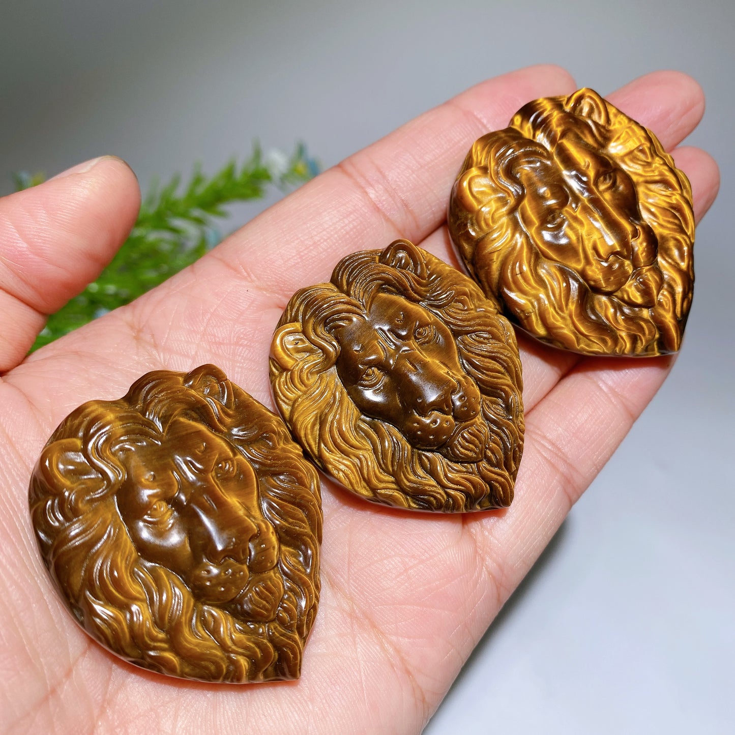 1.8" Yellow Tiger's Eye Lion Slab Carvings Bulk Wholesale