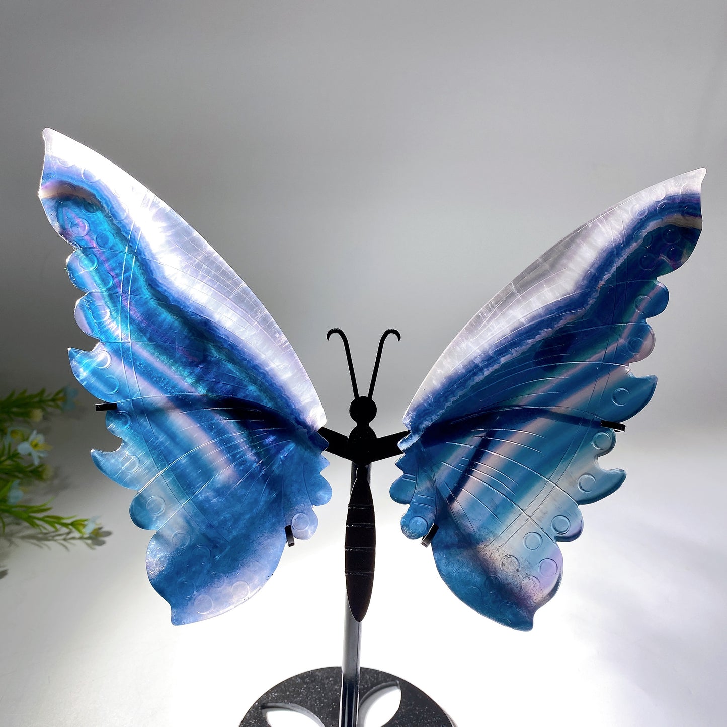 12-22cm Rainbow Fluorite Butterfly Wings Carvings with Stand Free Form