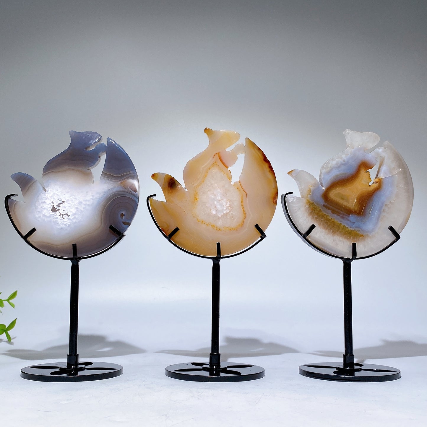 Druzy Agate Squirrel Carving with Stand Free Form Crystal Healing Bulk Wholesale