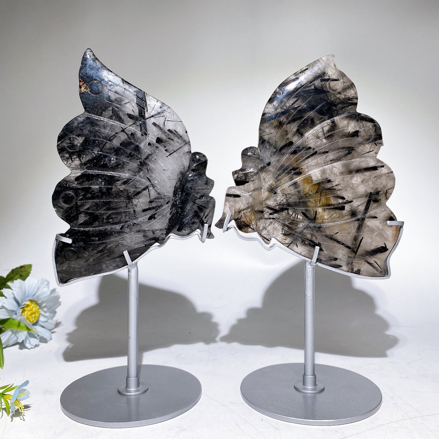 6.2" Black Tourmaline in Quartz Butterfly Fairy Carving Crystal Healing Bulk Wholesale