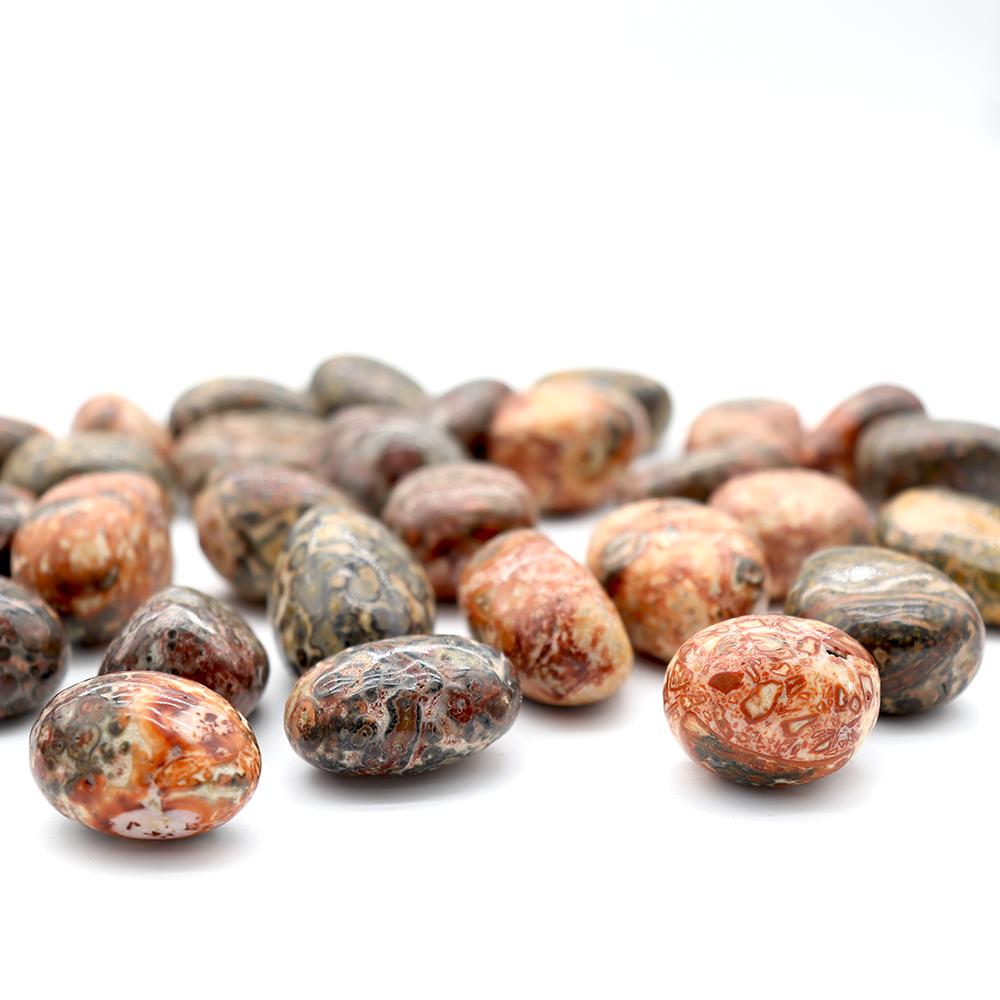 0.1kg High Quality Leopard Skin Jasper bulk tumbled stone Best Crystal Wholesalers