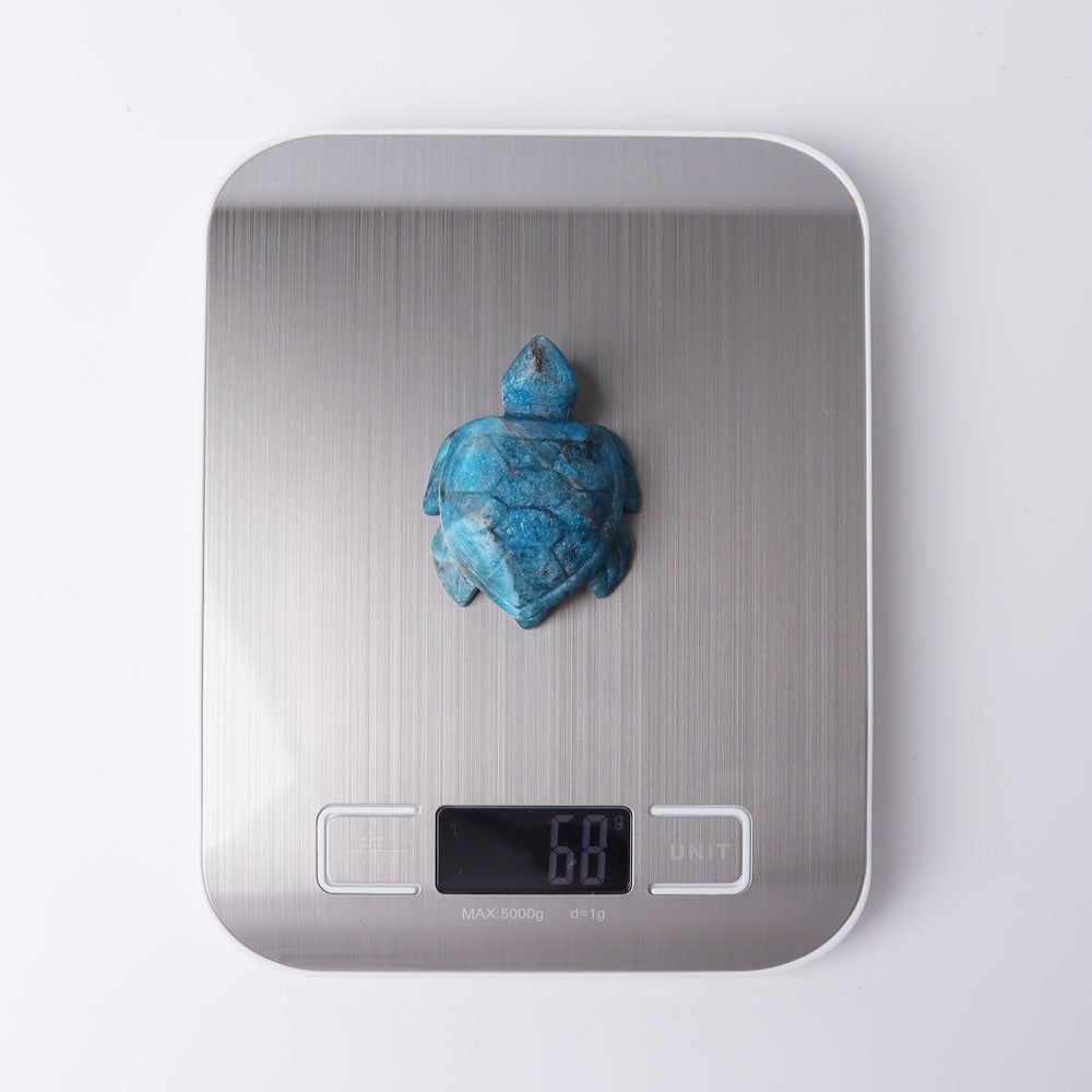 2.3" Blue Apatite Sea Turtle Crystal Carvings Best Crystal Wholesalers