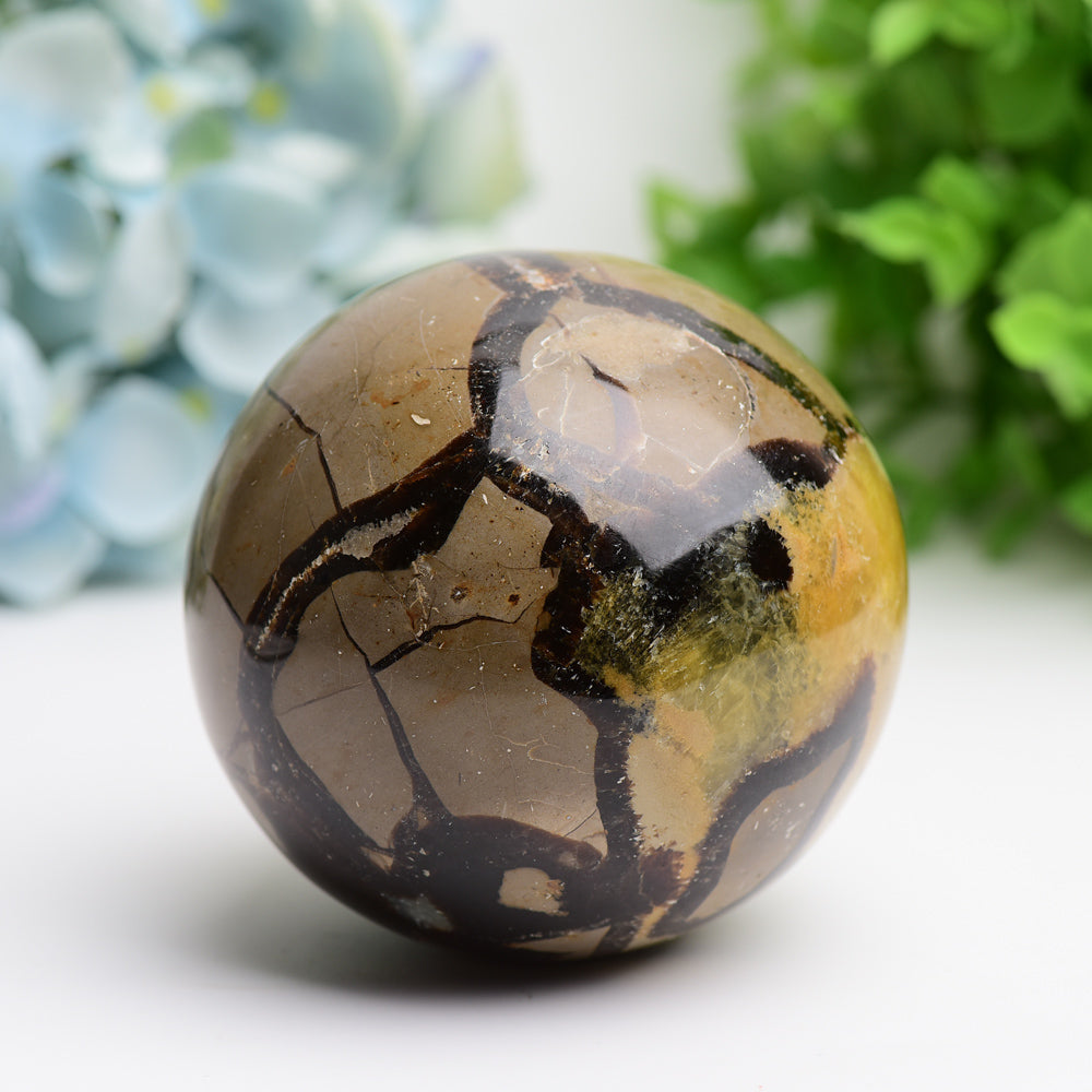 2.0"-3.2" Septarium Septarian Crystal Spheres Bulk Best Crystal Wholesalers