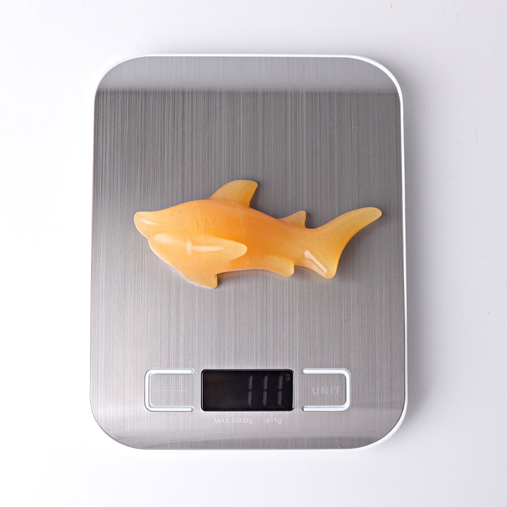 4" Honey Calcite Shark Crystal Carvings Animal Bulk Best Crystal Wholesalers