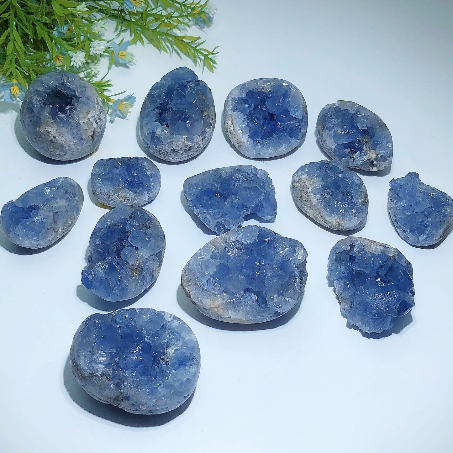 Natural Raw Celestite Geode Specimen Healing Crystal Decor