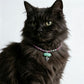 Cat's Eye Necklace Chocker with Magnet Buckle for Pet Crystal Healing Bulk Wholesale