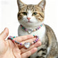 Colorful Lava Rock Necklace Chocker with Magnet Buckle for Pet Crystal Healing Bulk Wholesale