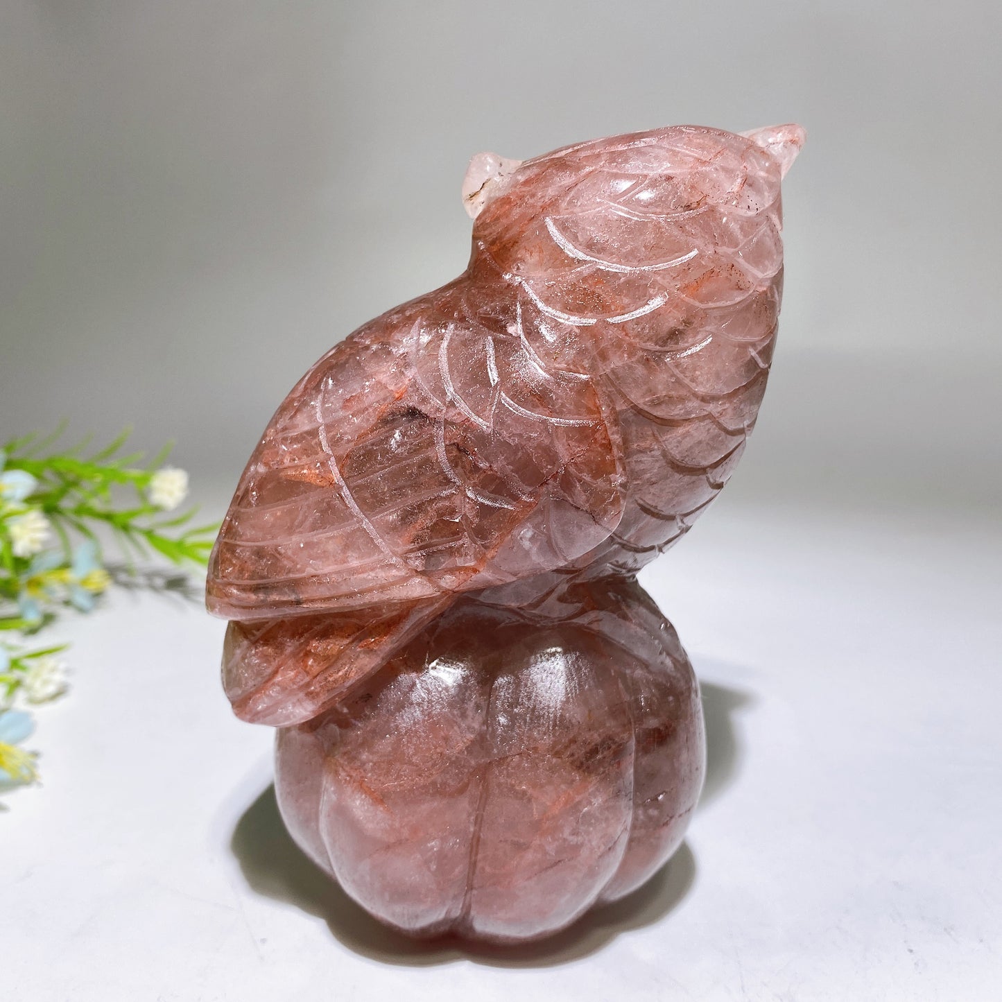 5.2" Fire Quartz Owl on Pumpkin Carving Crystal Healing Bulk Wholesale