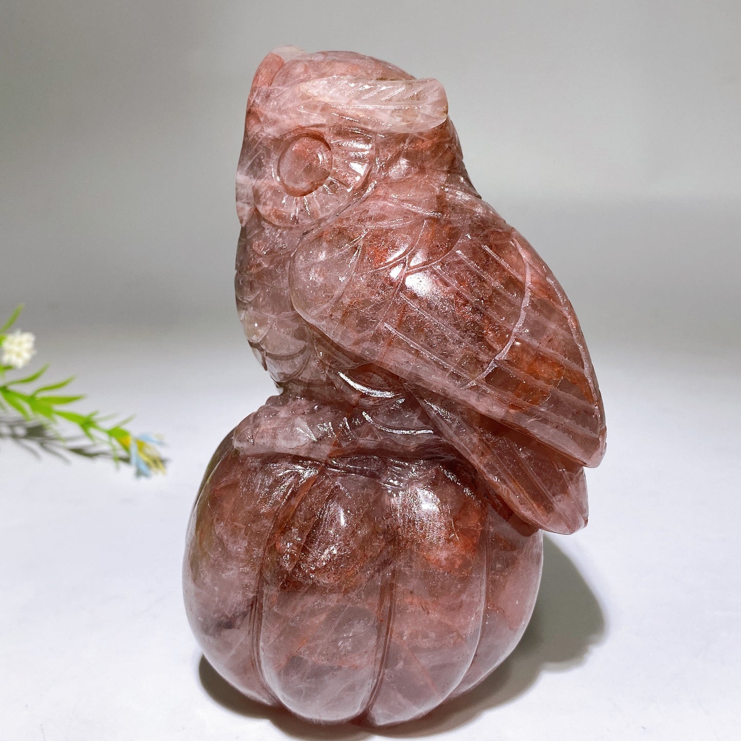 5.2" Fire Quartz Owl on Pumpkin Carving Crystal Healing Bulk Wholesale