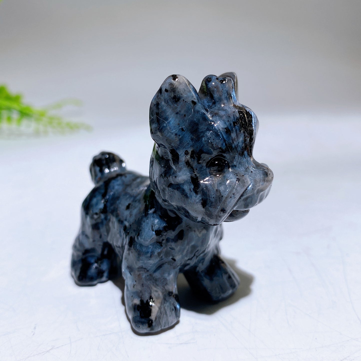 2.3" Natural Crystal Yorkshire Terrier Dog Carving Crystal Healing Bulk Wholesale