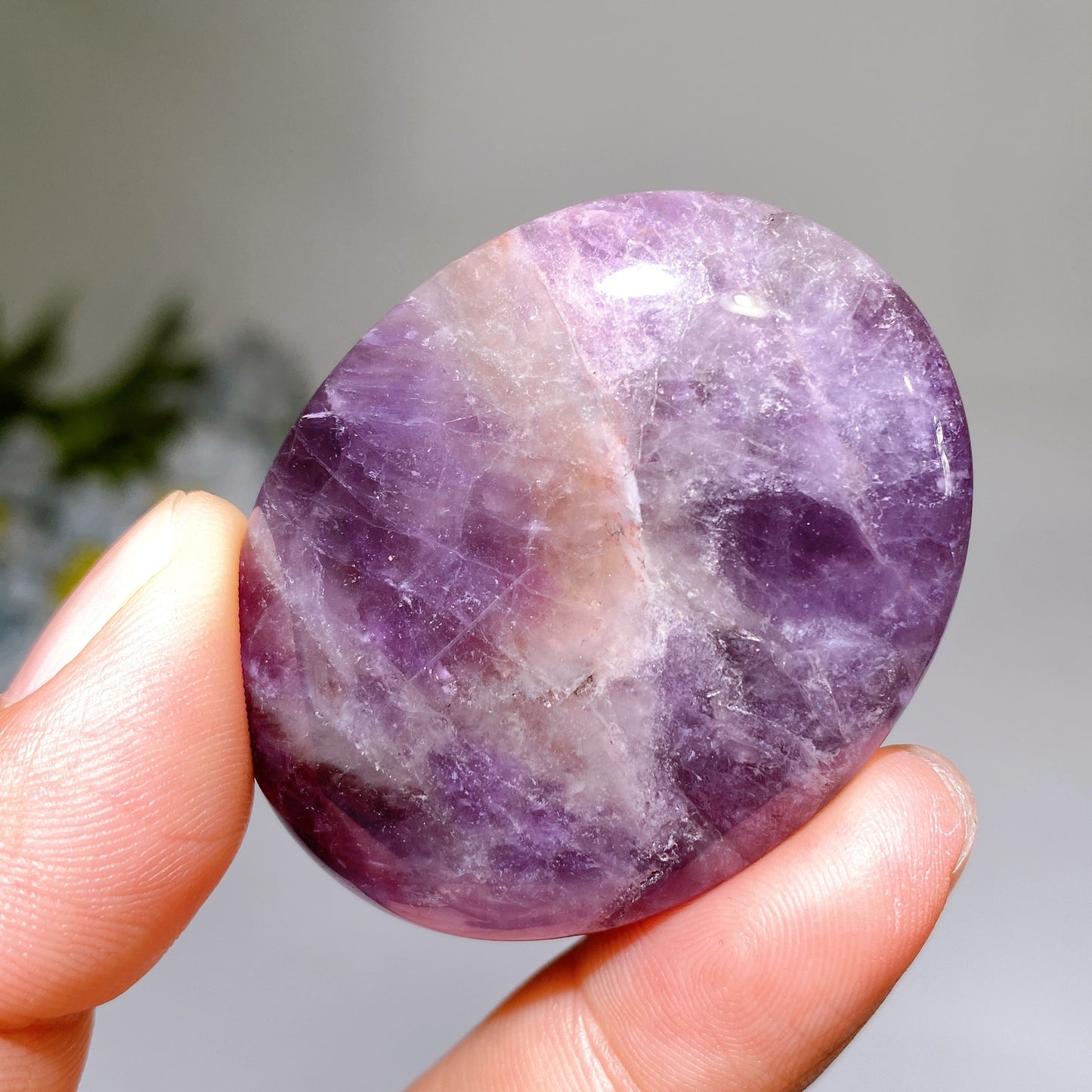 1.9" Crystal Palm Crystal Healing Bulk Wholesale