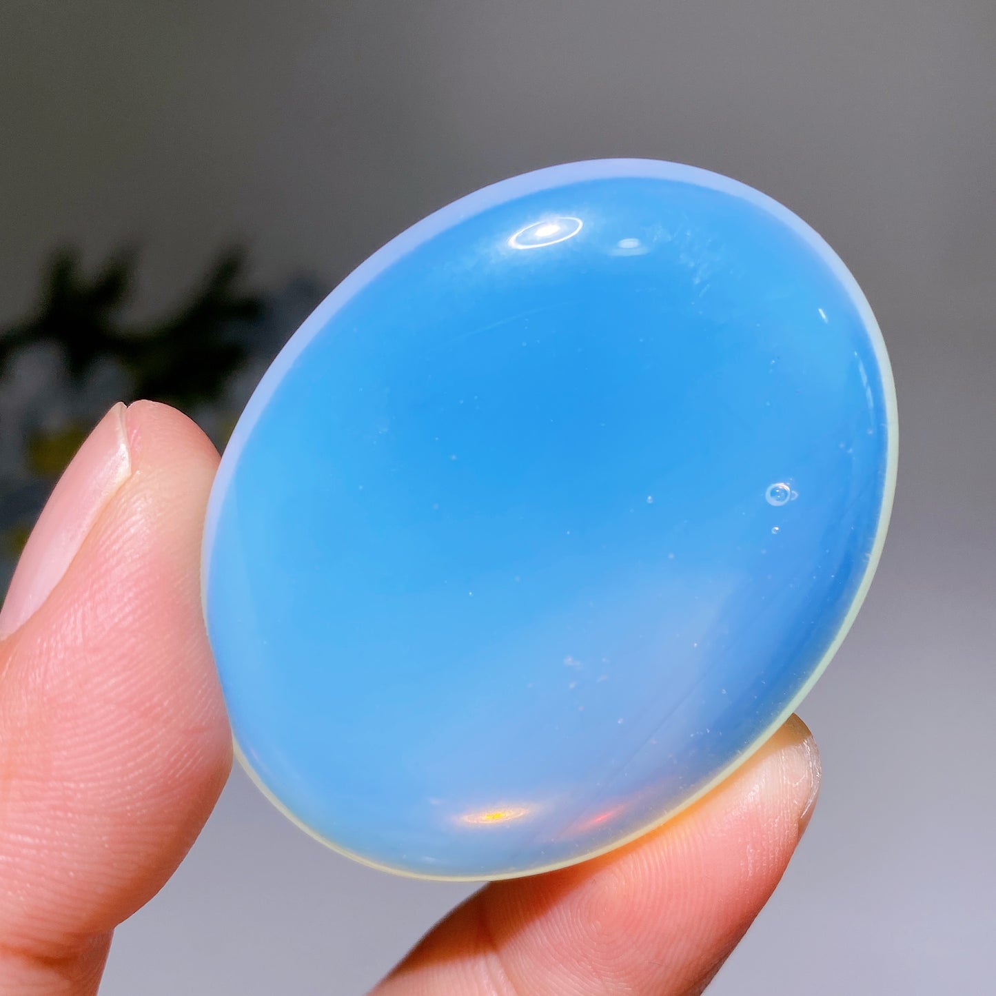 1.9" Crystal Palm Crystal Healing Bulk Wholesale