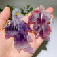 .0" Crystal leaf Carving Crystal Healing Bulk Wholesale