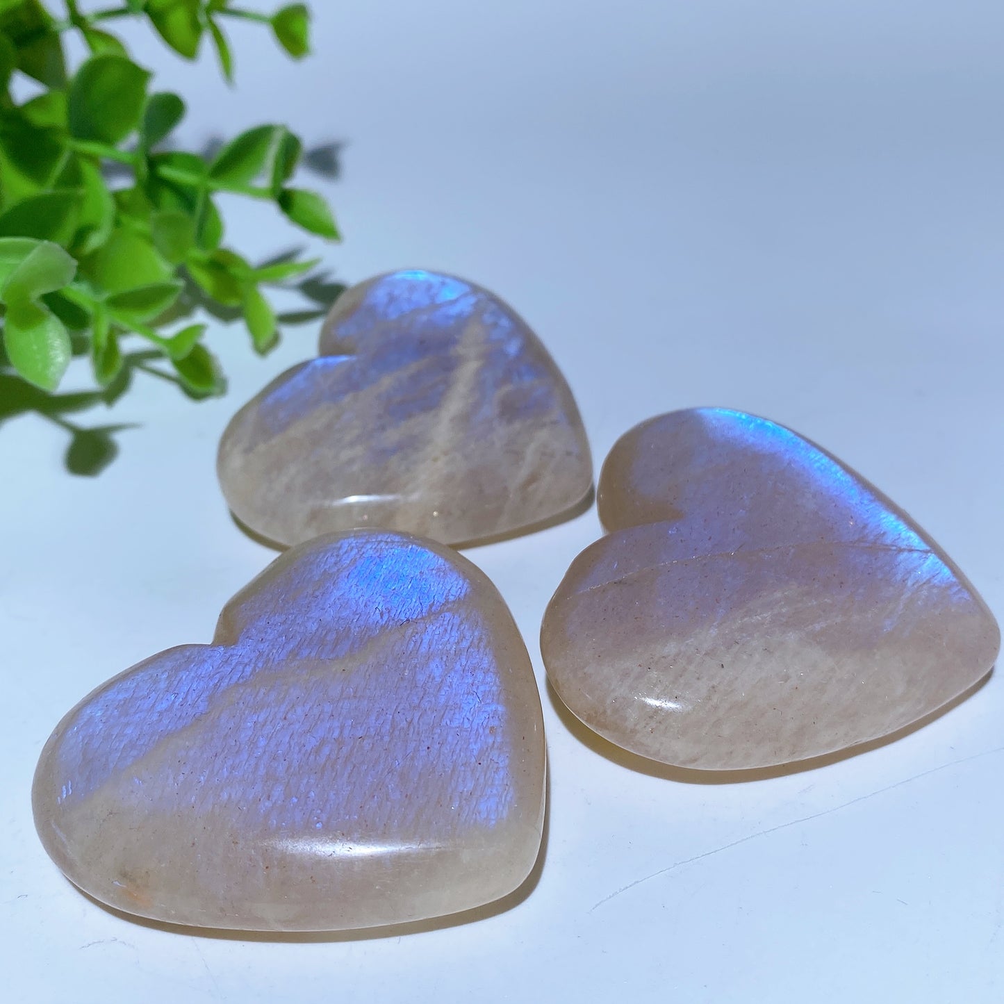 2.0"-2.2" Blue Flash Moonstone Heart Palm Carvings Bulk Wholesale