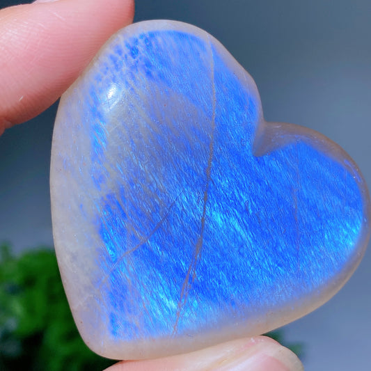 2.0"-2.2" Blue Flash Moonstone Heart Palm Carvings Bulk Wholesale