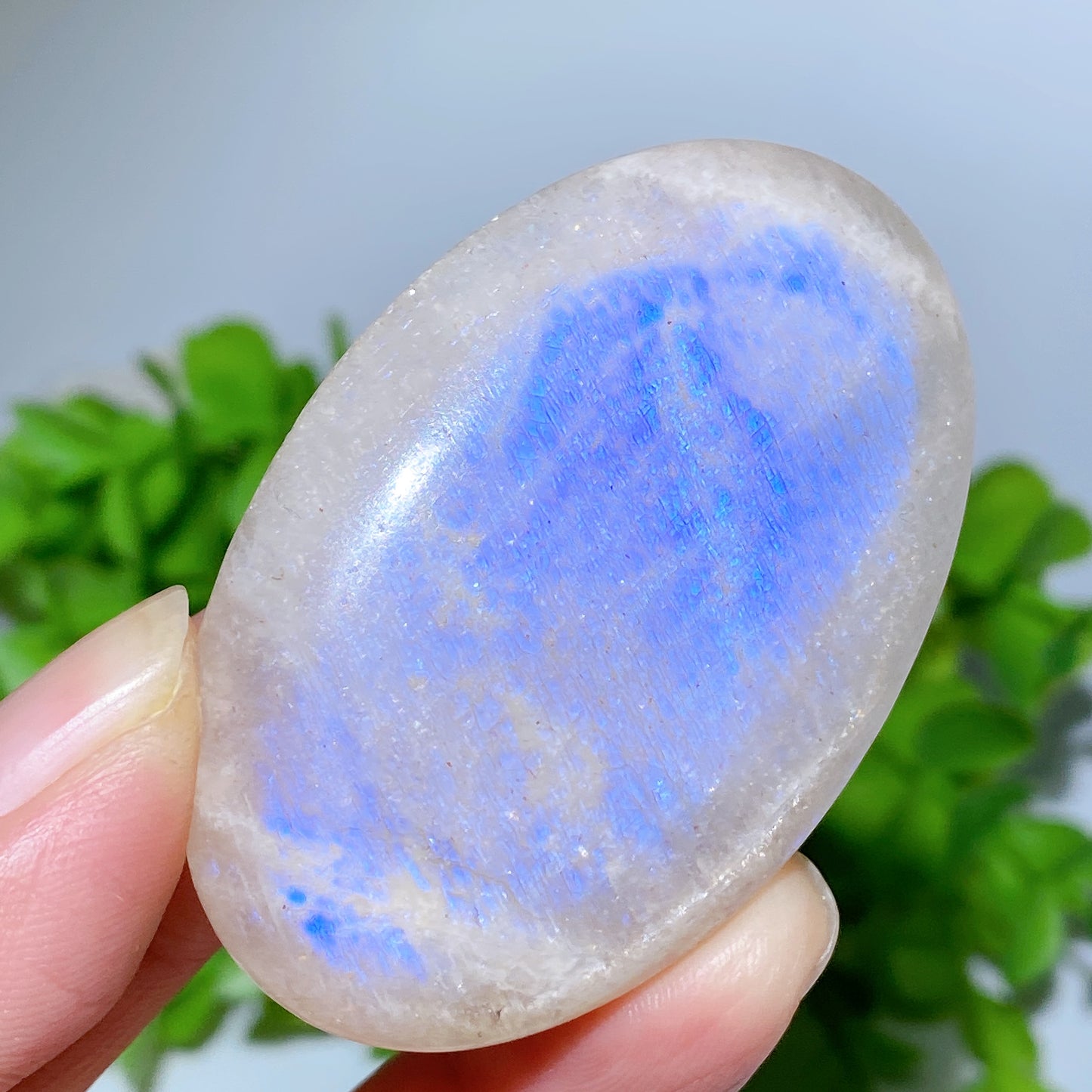 2.0"-2.2" Blue Flash Moonstone Heart Palm Carvings Bulk Wholesale