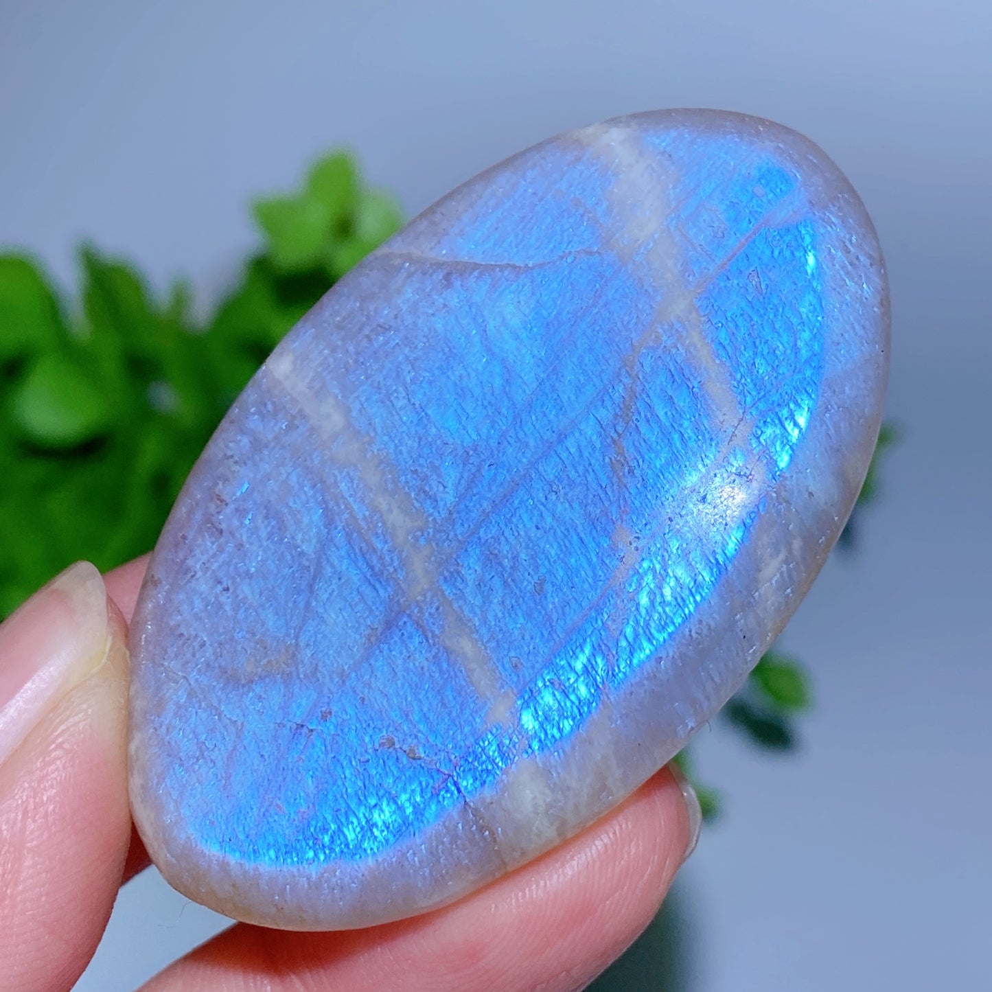 2.0"-2.2" Blue Flash Moonstone Heart Palm Carvings Bulk Wholesale