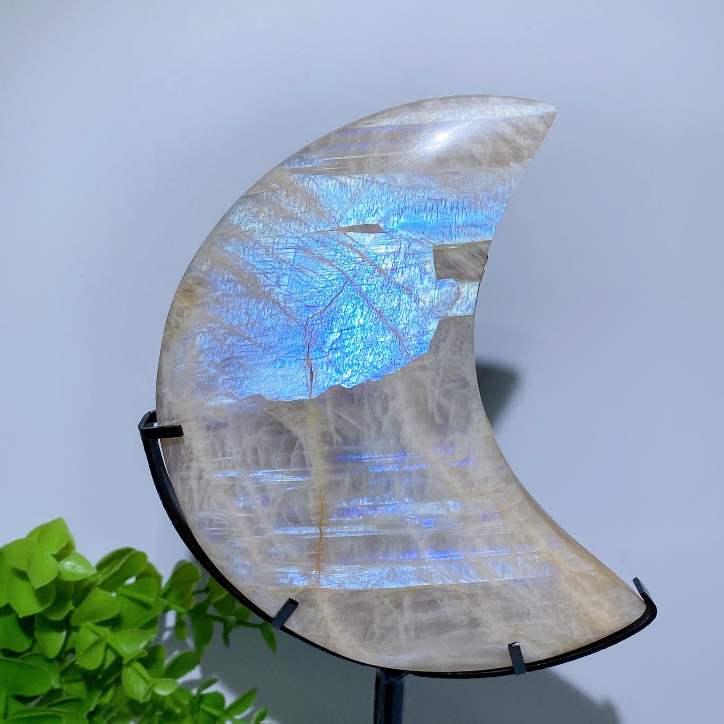 4.0"-5.5" Blue Flash Moon Carvings with Stand Bulk Wholesale
