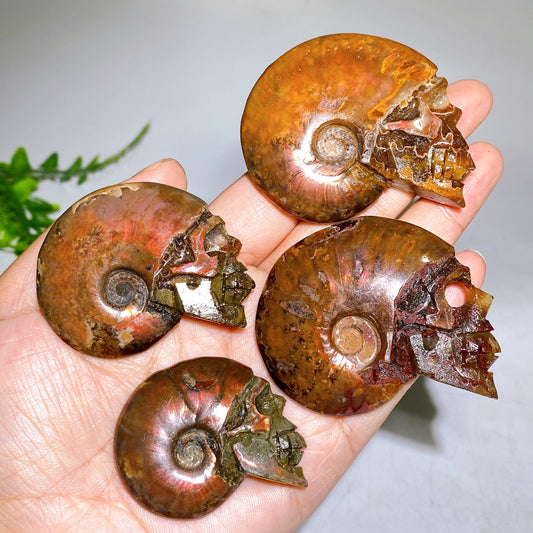 1.8"-2.5" Natural Ammonite Skull Carving Wholesale