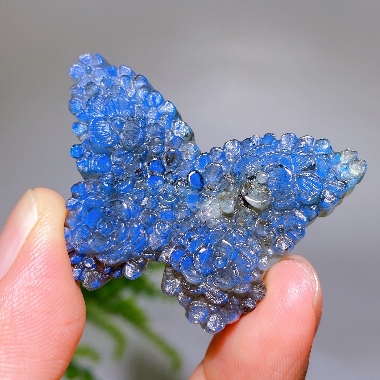 1.8" Labradorite Flower Butterfly Carving Wholesale