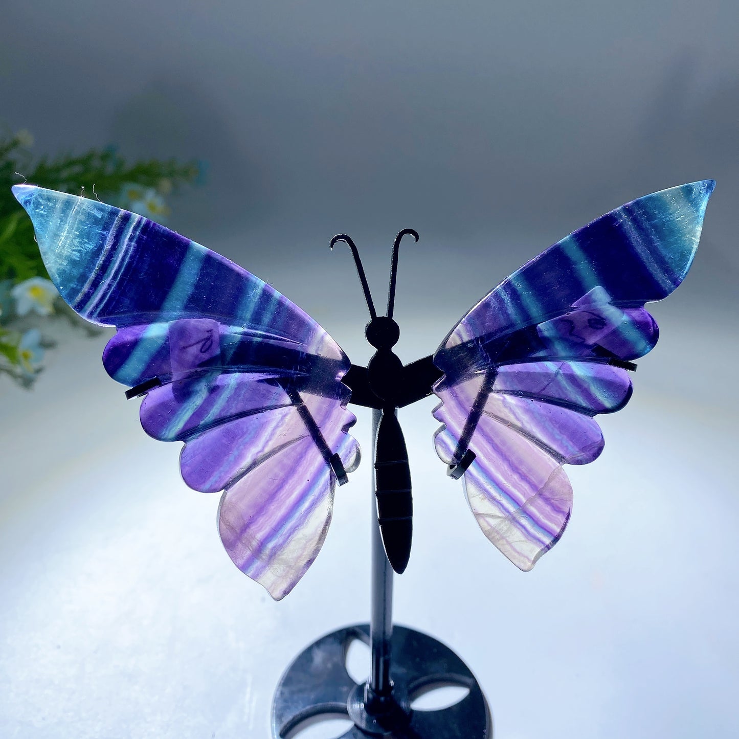 12-22cm Rainbow Fluorite Butterfly Wings Carvings with Stand Free Form
