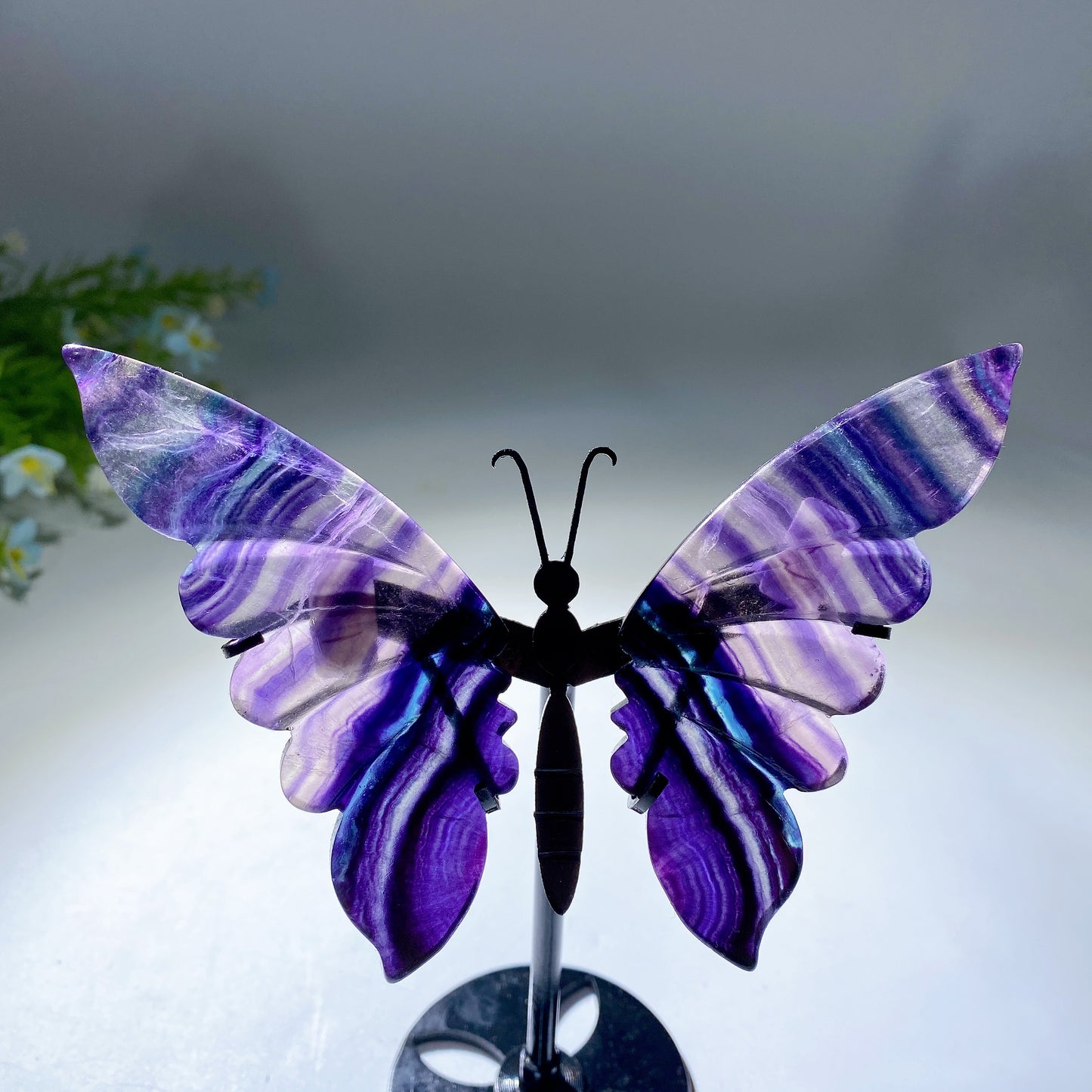 12-22cm Rainbow Fluorite Butterfly Wings Carvings with Stand Free Form