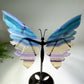12-22cm Rainbow Fluorite Butterfly Wings Carvings with Stand Free Form