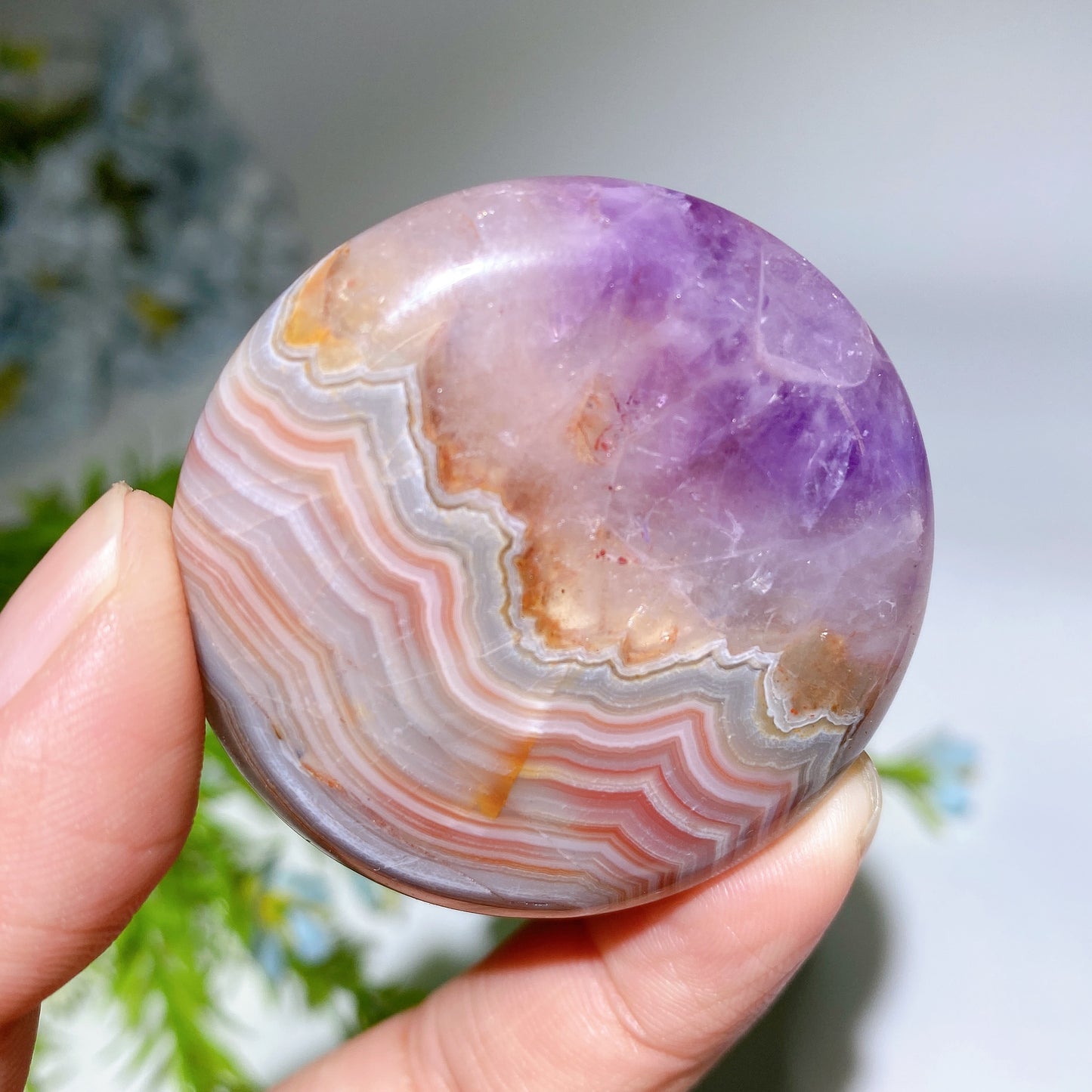 1.7"-2.0" Striped Agate Grow with Amethyst Round Slab Bulk Wholesale