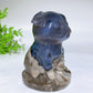 3.8" UV Reactive Volcanic Agate Pug Carvings Bulk Wholesale