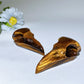 3.3" Yellow Tiger Eye Raven Skull Crystal Carvings Bulk Wholesale