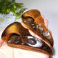 3.3" Yellow Tiger Eye Raven Skull Crystal Carvings Bulk Wholesale