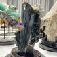 Rare Raw Vivianite Stick Specimen with Wooden Stand