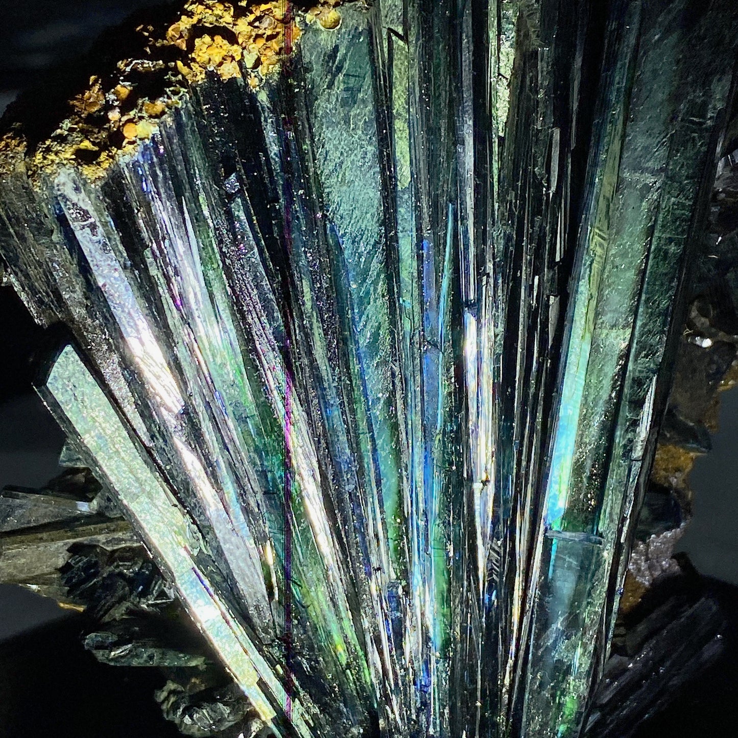 Rare Raw Vivianite Stick Specimen with Wooden Stand