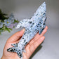 17cm Ocean Jasper Shark Carving Crystal Healing Bulk Wholesale