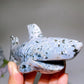 17cm Ocean Jasper Shark Carving Crystal Healing Bulk Wholesale