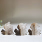 1.8" Clear Quartz Cluster Squirrel Carving Bulk Wholesale