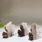 1.8" Clear Quartz Cluster Squirrel Carving Bulk Wholesale