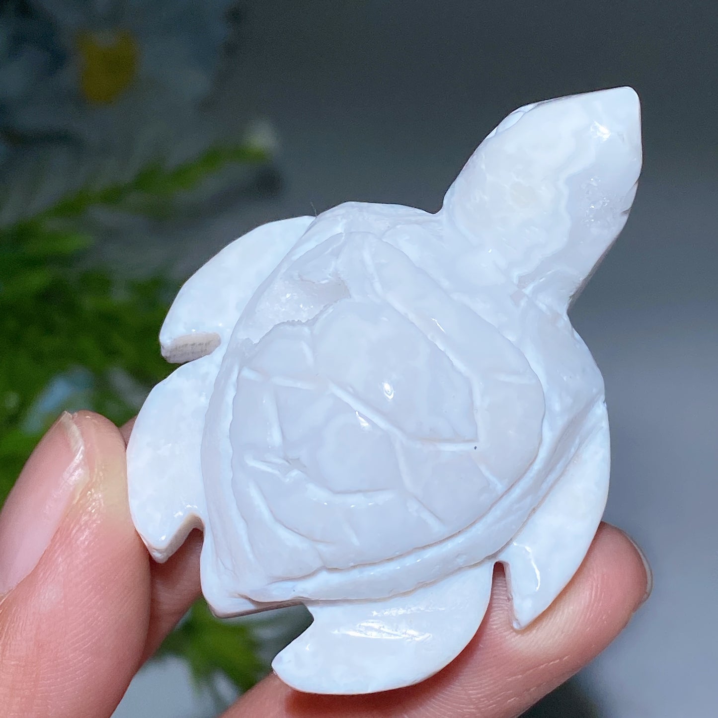 2.2" Druzy White Agate Turtle Carving Bulk Wholesale