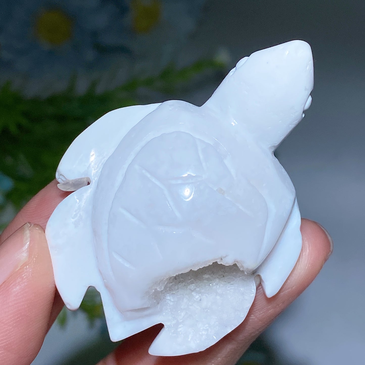 2.2" Druzy White Agate Turtle Carving Bulk Wholesale