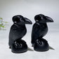 2.4" Black Obsidian Raven Carving Crystal Healing Bulk Wholesale