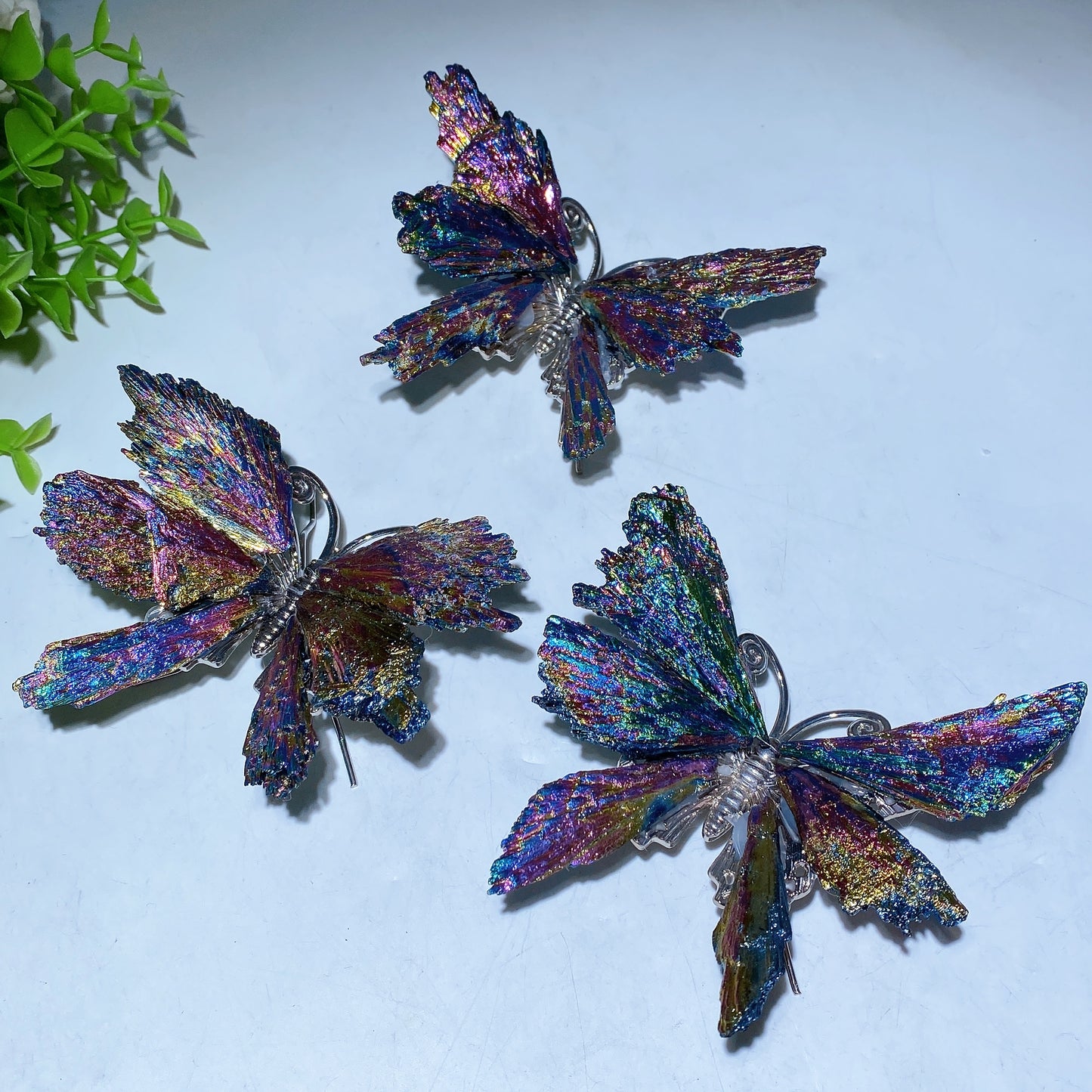 3.5"-4.0" Aura Black Tourmaline Butterfly Free Form Bulk Wholesale