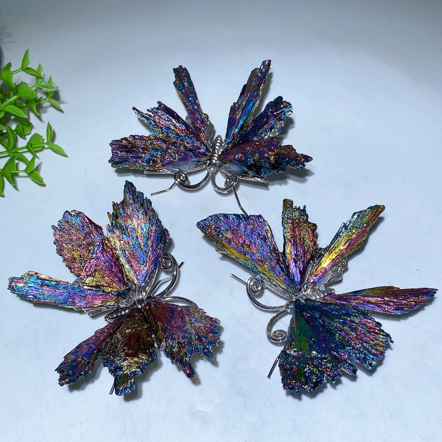 3.5"-4.0" Aura Black Tourmaline Butterfly Free Form Bulk Wholesale