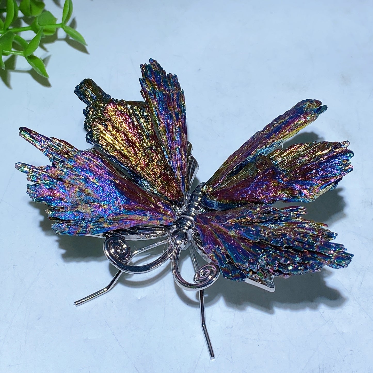 3.5"-4.0" Aura Black Tourmaline Butterfly Free Form Bulk Wholesale