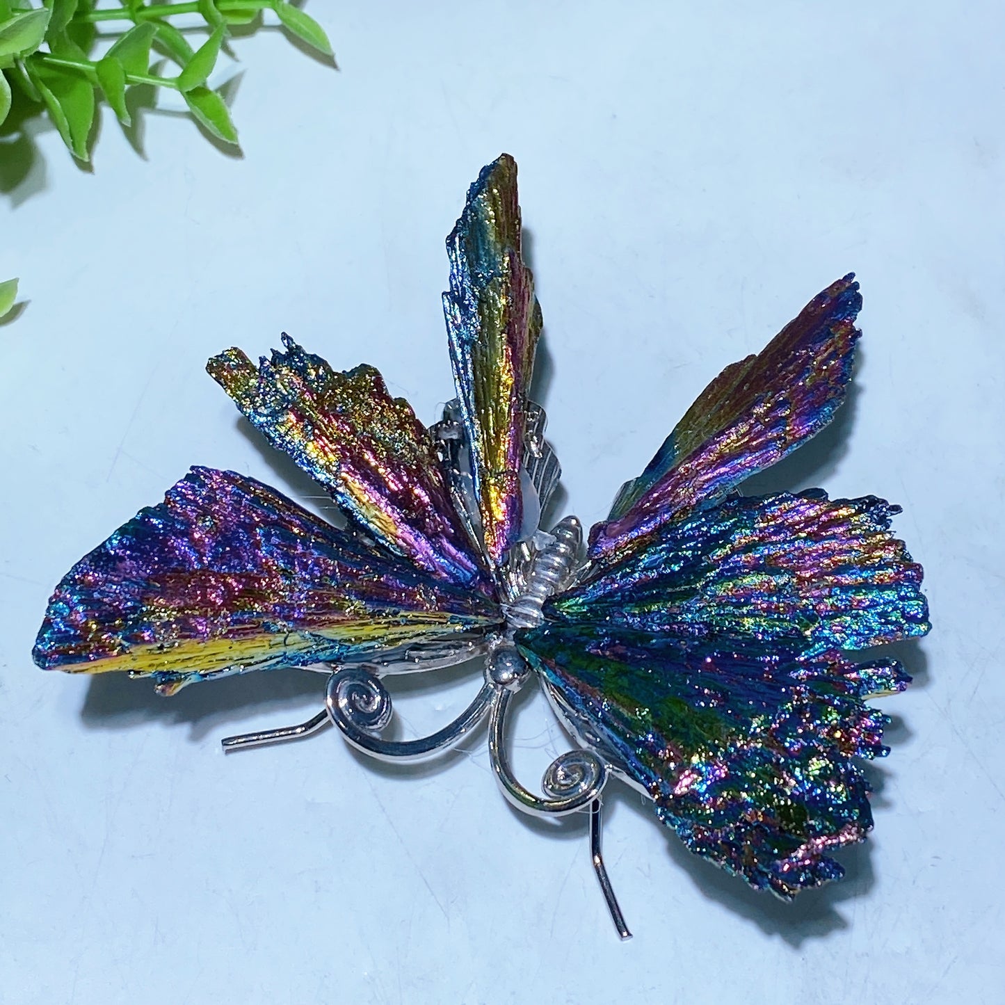 3.5"-4.0" Aura Black Tourmaline Butterfly Free Form Bulk Wholesale