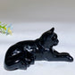 3.0" Black Obsidian Cat Carving Bulk Wholesale
