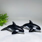 5.9" Black Obsidian Killer Whale Carving Crystal Healing Bulk Wholesale